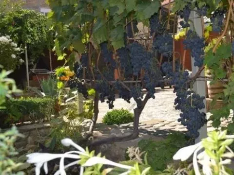 Отель «ЛОЗА» — фото 7