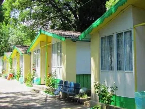 Турбаза «МИР» — фото 3